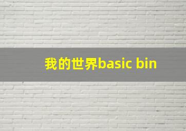 我的世界basic bin